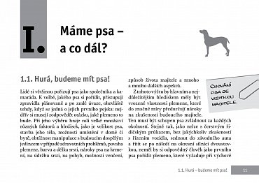 Náhled Výcvik psů loveckých plemen