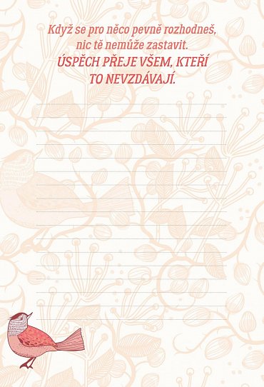 Náhled Motivační deník s afirmacemi Jana Menděla