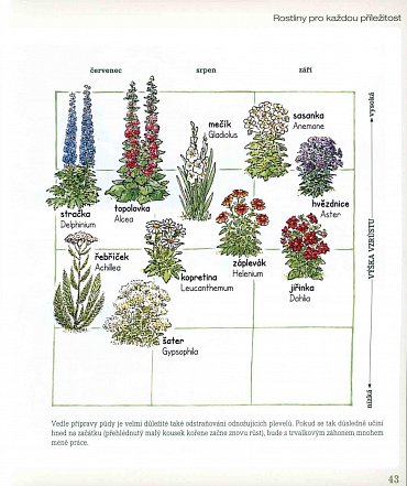 Náhled Nová zahrada pro inteligentní lenochy - Zahradničíme v souladu s přírodou