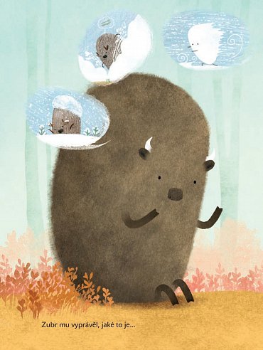 Náhled Medvěd nechce jít spát