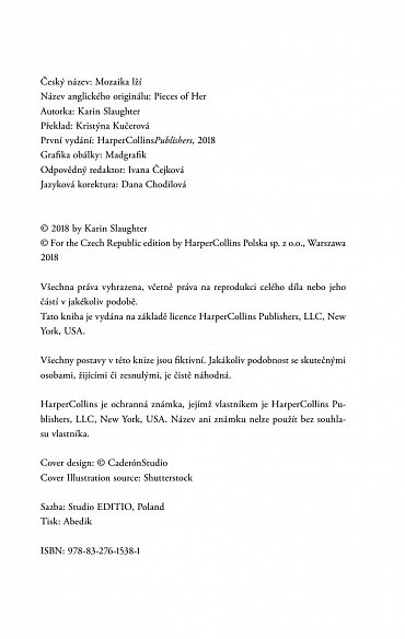 Náhled Mozaika lží