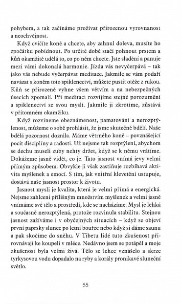 Náhled Jak si ze své mysli udělat spojence