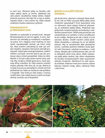 Náhled Zelenina z ekozahrady pro radost i soběstačnost