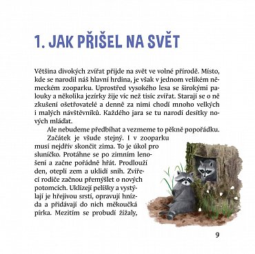 Náhled Dobrodružství medvídka mývala