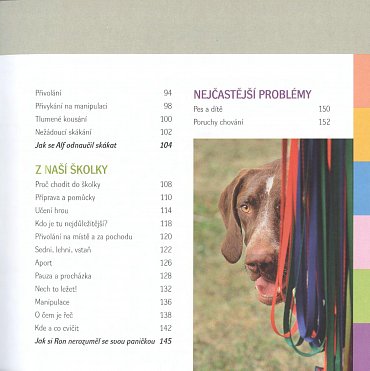 Náhled Od štěněte ke psu - Jak nenásilně vychovat skvělého společníka