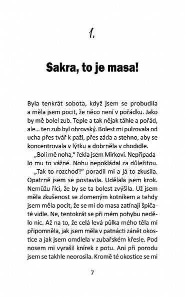 Náhled Takhle jsem si to teda nepředstavovala