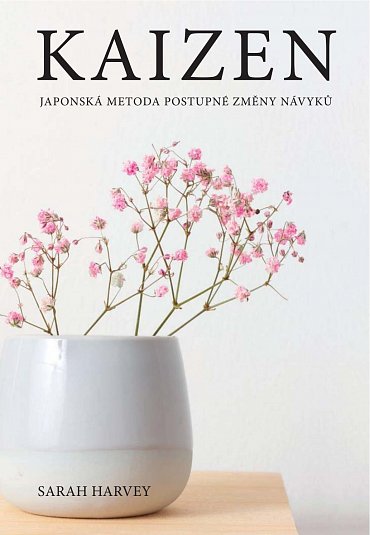 Náhled Kaizen - Japonská metoda postupné změny návyků