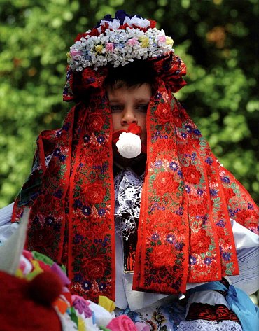 Náhled Koně pro krále