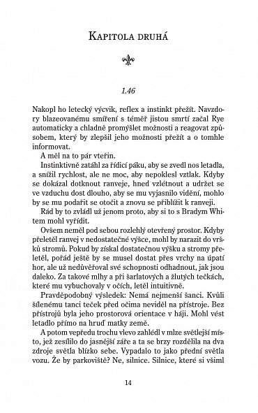 Náhled Střemhlavý pád