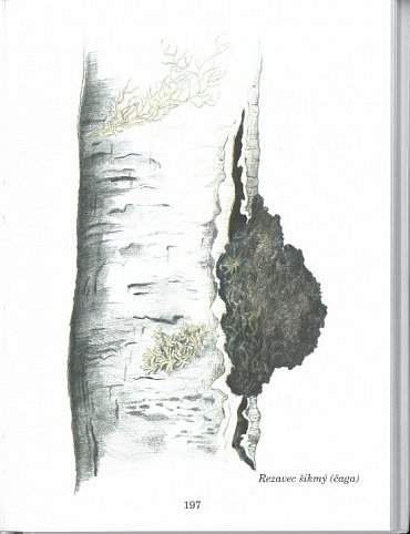 Náhled Herbář léčivých rostlin 1 (A - D)