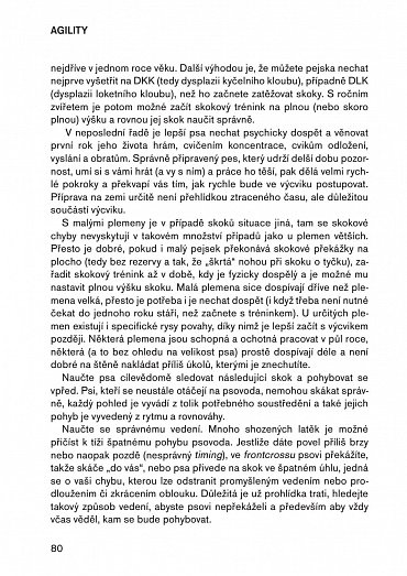 Náhled Agility pro pokročilé