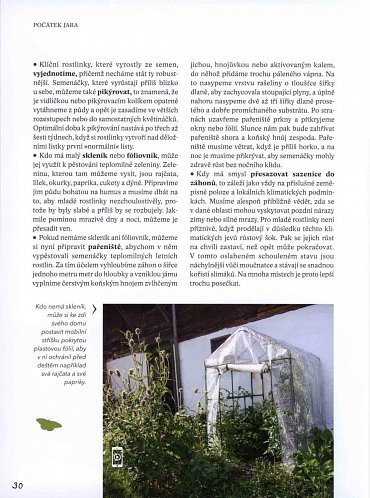 Náhled Zahradníkův rok - Setí, pěstování, sklizeň