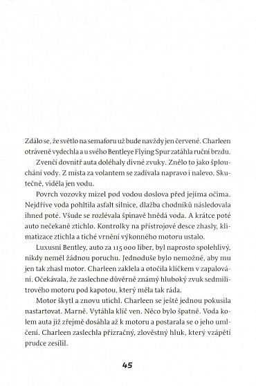 Náhled Blesková povodeň - Code Red 1