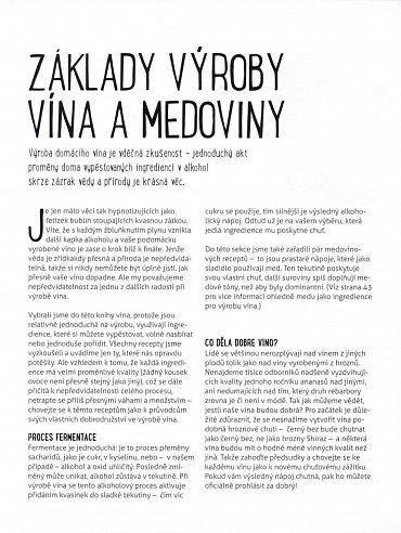 Náhled Děláme si sami pivo, víno, medovinu, cider, šumivé nápoje a další unikátní speciality