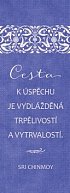 Plechová cedulka "Cesta k úspěchu je vydlážděná trpělivostí a vytrvalostí"