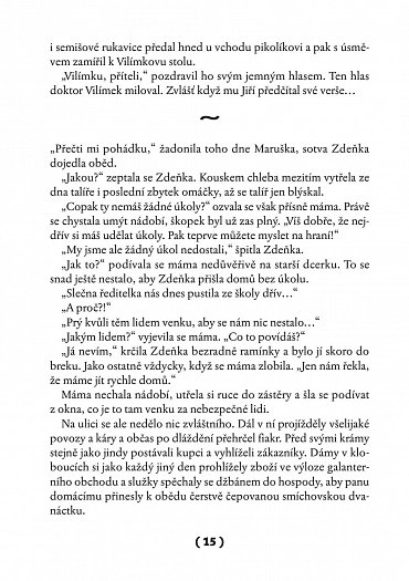 Náhled To je on! O té, co si říkala Toyen