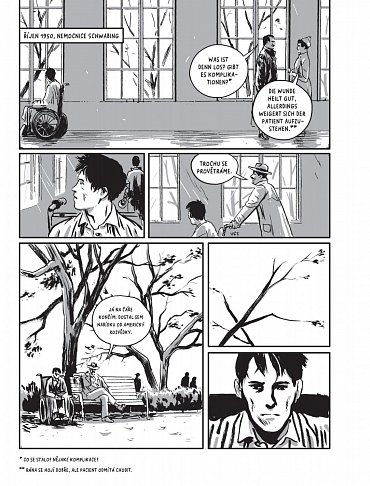 Náhled Návrat Krále Šumavy 3: Opona se zatahuje