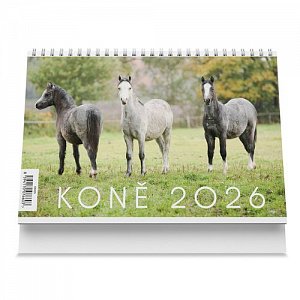Stolní kalendář Koně 2026