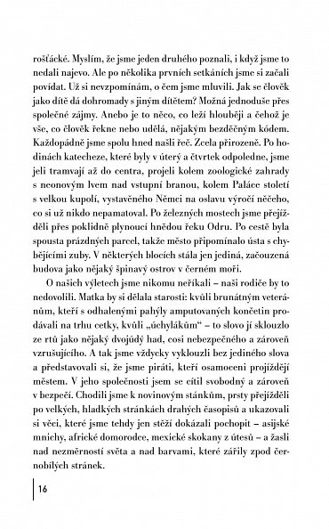 Náhled Plavec ve tmě