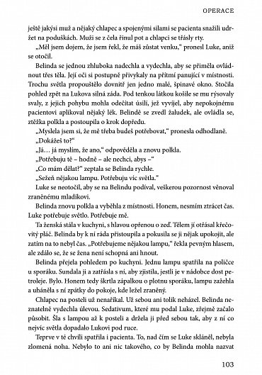 Náhled Sen lásky
