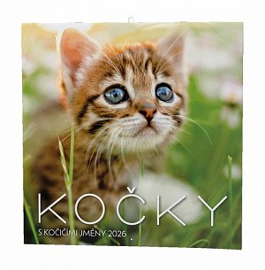 Kočky 2026 - nástěnný kalendář