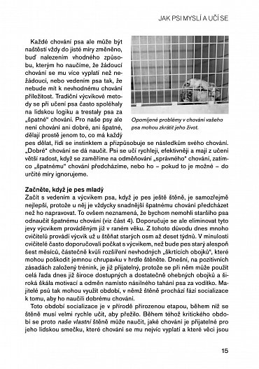 Náhled Pozitivní metody výchovy psa