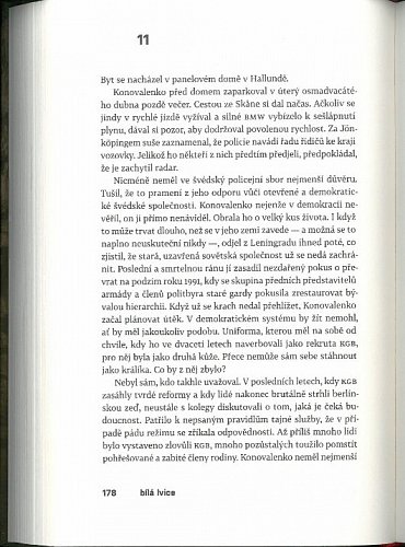 Náhled Bílá lvice