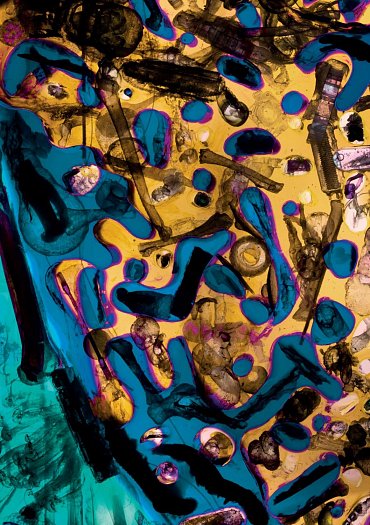 Náhled Posilování stresem - Cesta k odolnosti