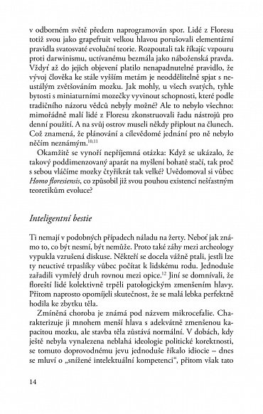 Náhled Medicína doby kamenné