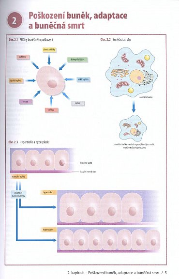 Náhled Patofyziologie pro zdravotnické obory