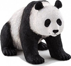 Panda velká