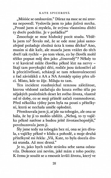 Náhled Ztratil se pes