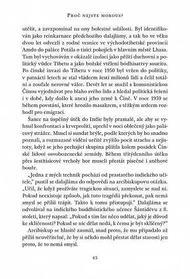 Náhled Kniha radosti - Jak být trvale šťastný v dnešním proměnlivém světě