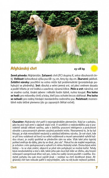 Náhled Psi – příruční atlas, 1.  vydání