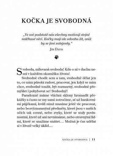 Náhled Chovejte se jako kočka