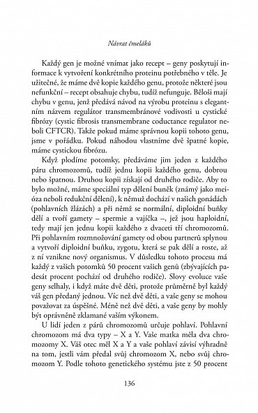 Náhled Návrat čmeláků - O životě, poslání a důležitosti čmeláků