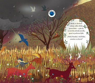 Náhled Příběh ukrytý v notách: Čtvero ročních dob v jediném dni