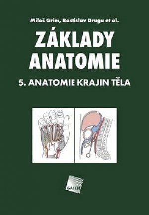 Základy anatomie 5 - Anatomie krajin těla