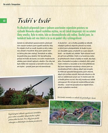 Náhled Vlci - Na toulkách s fotografem zvířat Axelem Gomillem