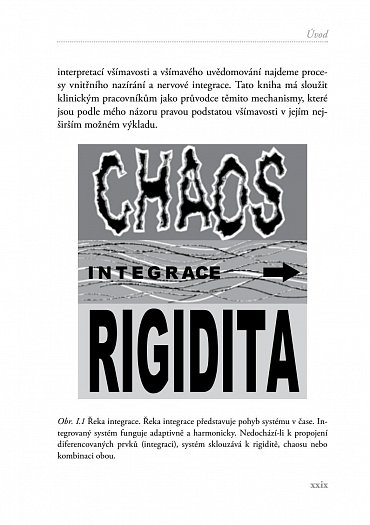 Náhled Všímavý terapeut - Vnitřní nazírání a nervová integrace - příručka pro klinickou praxi