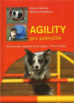 Agility pro pokročilé