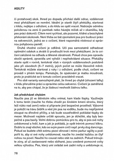 Náhled Agility pro pokročilé