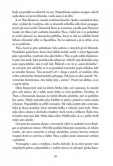 Náhled Chyba jejího manžela