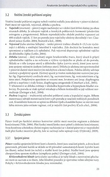 Náhled Příprava na porod - fyzická a psychická profylaxe