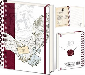 Harry Potter Zápisník kroužkový A5 Special Delivery