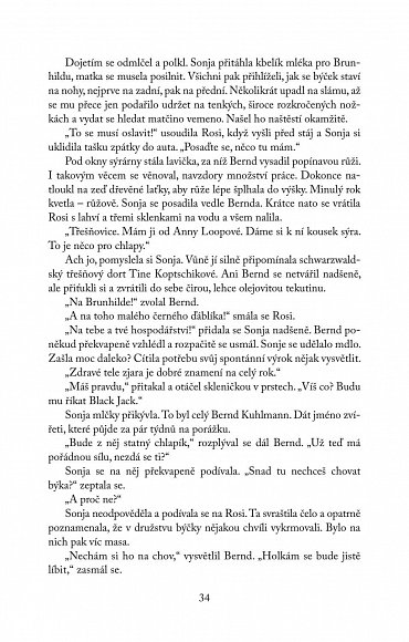 Náhled Venkovské sídlo 3: Časy se mění