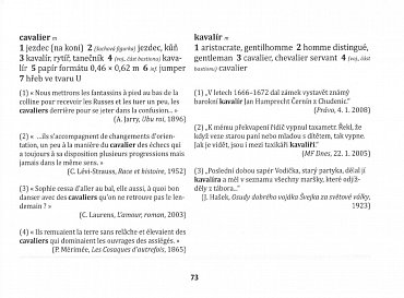 Náhled Zrádná slova ve francouzštině