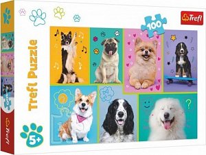 Trefl Puzzle V psím světě 100 dílků