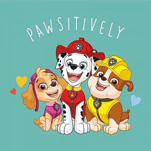 Magický ručníček Tlapková Patrola Tři Mušketýři 30x30 cm Zvolte balení po: 1 ks