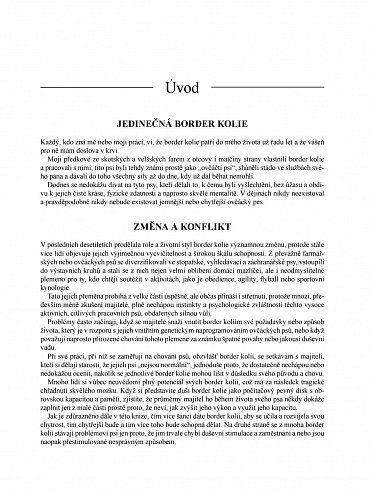 Náhled Border kolie od A do Z